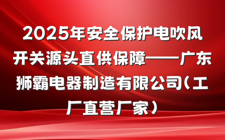 2025年安全保护电吹风开关源头直供保障——广东狮霸电器制造有限公司(工厂直营厂家)