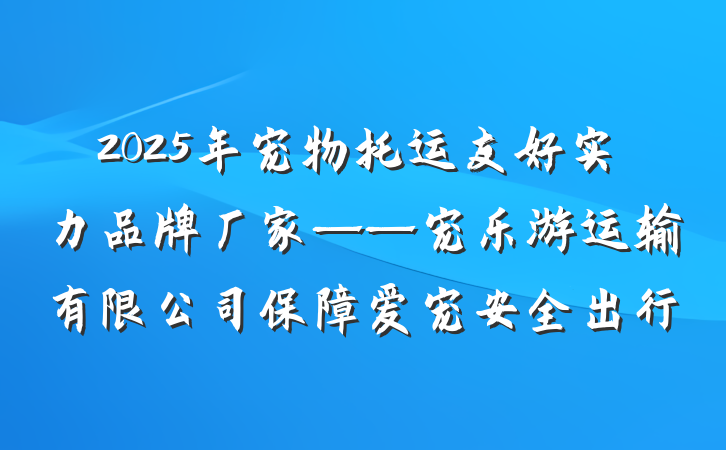 2025年宠物托运友好实力品牌厂家——宠乐游运输有限公司保障爱宠安全出行