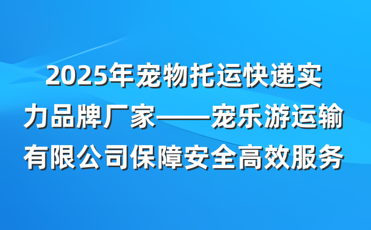 2025年宠物托运快递实力品牌厂家——宠乐游运输有限公司保障安全高效服务