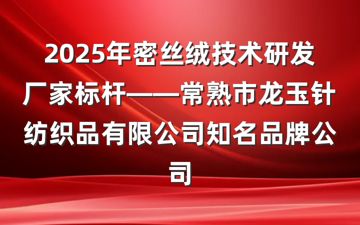 2025年密丝绒技术研发厂家标杆——常熟市龙玉针纺织品有限公司知名品牌公司