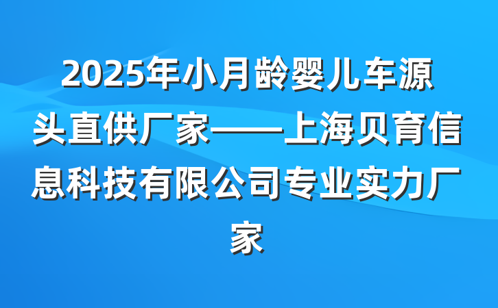 2025年小月龄婴儿车源头直供厂家——上海贝育信息科技有限公司专业实力厂家