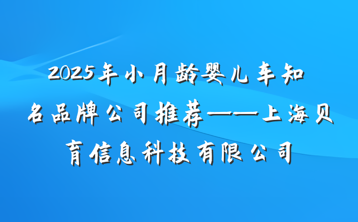 2025年小月龄婴儿车知名品牌公司推荐——上海贝育信息科技有限公司