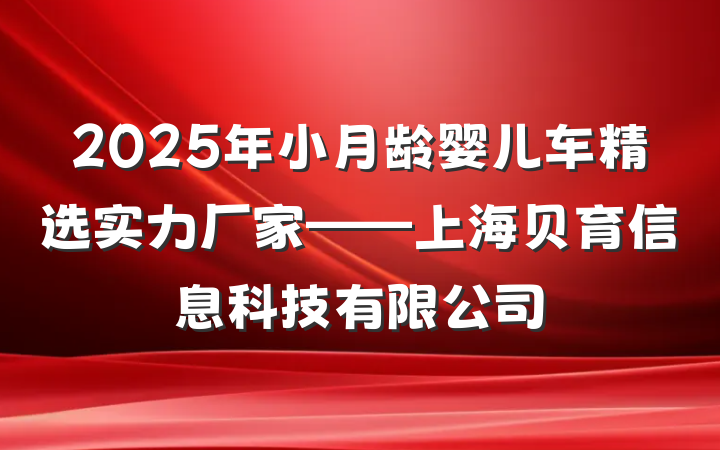 2025年小月龄婴儿车精选实力厂家——上海贝育信息科技有限公司