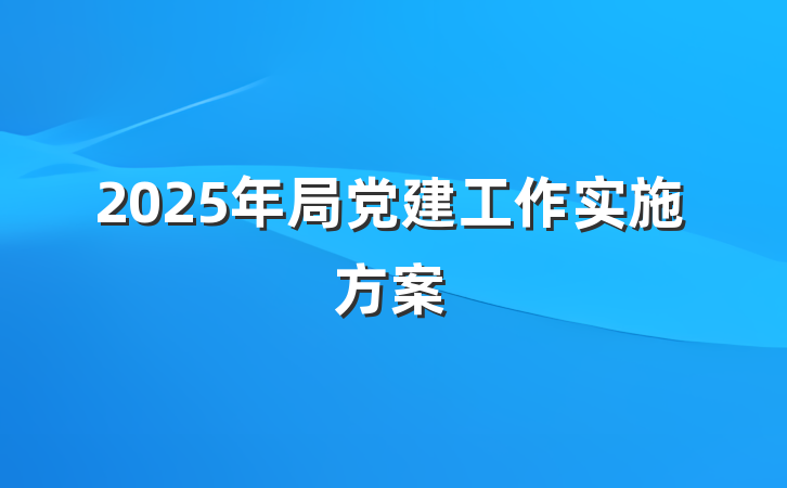 2025年局党建工作实施方案