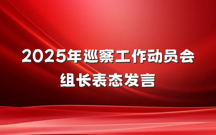 2025年巡察工作动员会组长表态发言