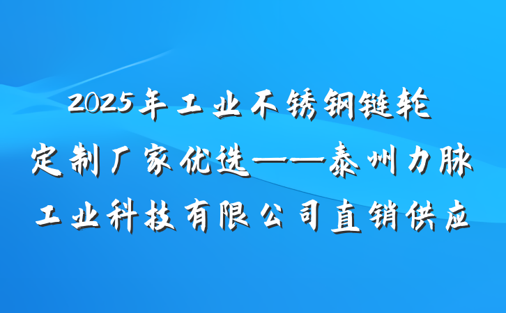 2025年工业不锈钢链轮定制厂家优选——泰州力脉工业科技有限公司直销供应