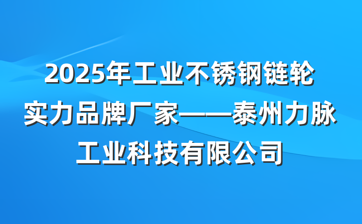 2025年工业不锈钢链轮实力品牌厂家——泰州力脉工业科技有限公司