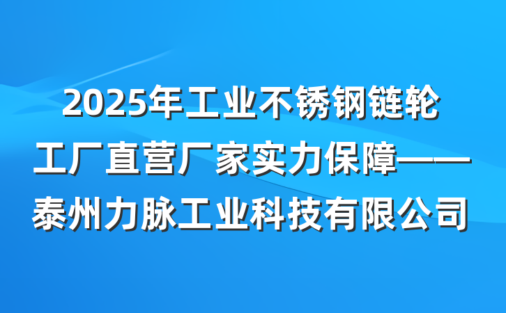 2025年工业不锈钢链轮工厂直营厂家实力保障——泰州力脉工业科技有限公司