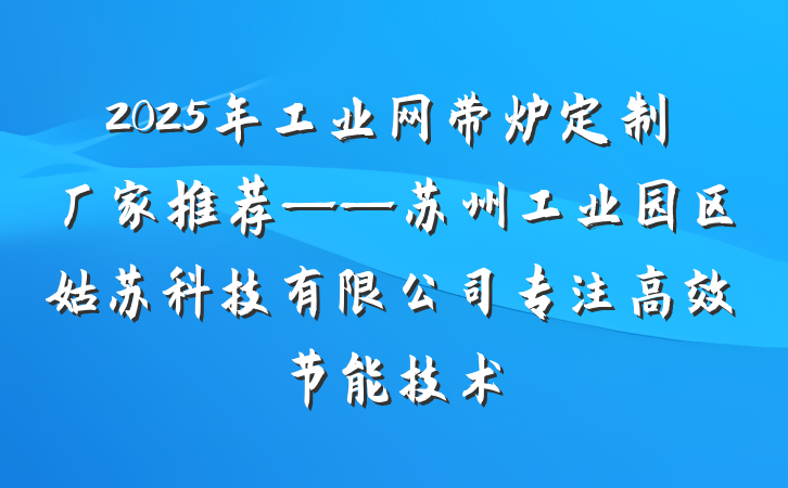 2025年工业网带炉定制厂家推荐——苏州工业园区姑苏科技有限公司专注高效节能技术