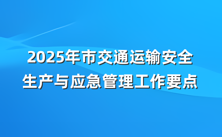 2025年市交通运输安全生产与应急管理工作要点