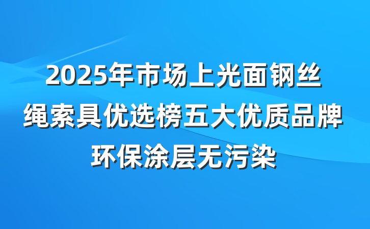 2025年市场上光面钢丝绳索具优选榜五大优质品牌环保涂层无污染