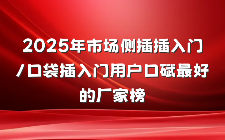 2025年市场侧插插入门/口袋插入门用户口碑最好的厂家榜