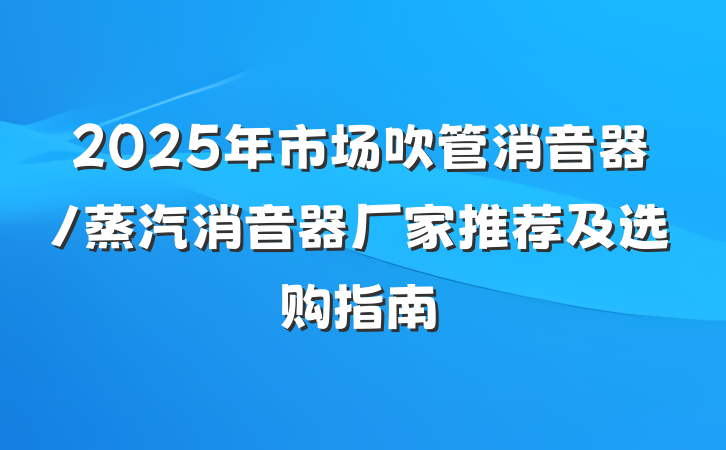2025年市场吹管消音器/蒸汽消音器厂家推荐及选购指南