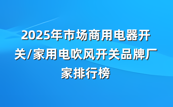 2025年市场商用电器开关/家用电吹风开关品牌厂家排行榜