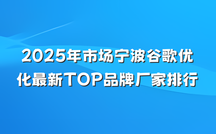 2025年市场宁波谷歌优化最新TOP品牌厂家排行
