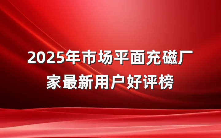 2025年市场平面充磁厂家最新用户好评榜