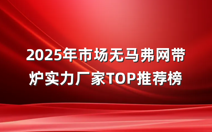 2025年市场无马弗网带炉实力厂家TOP推荐榜