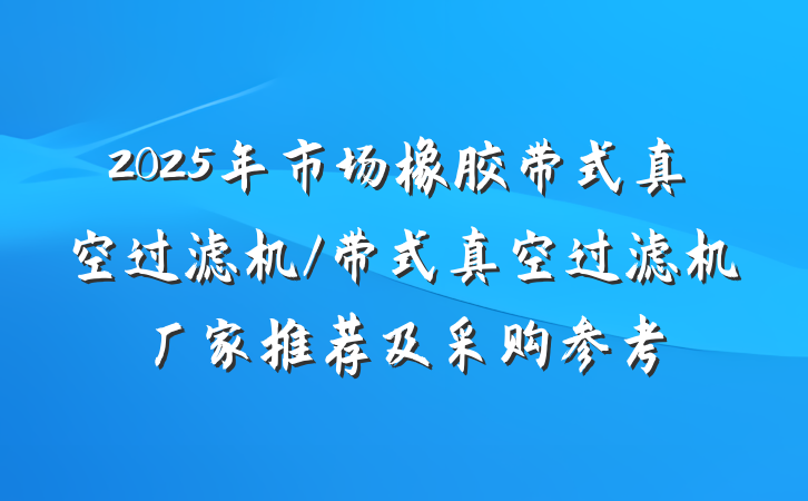2025年市场橡胶带式真空过滤机/带式真空过滤机厂家推荐及采购参考