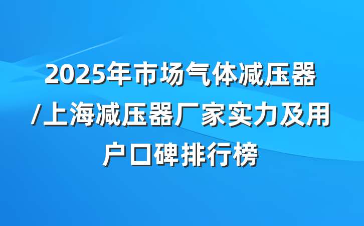 2025年市场气体减压器/上海减压器厂家实力及用户口碑排行榜
