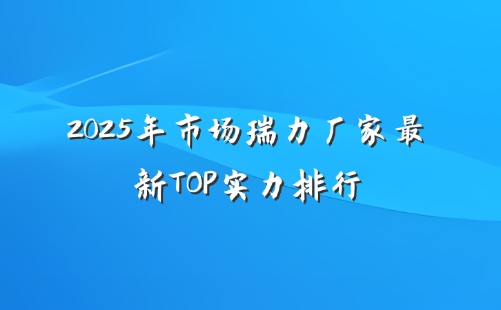 2025年市场瑞力厂家最新TOP实力排行