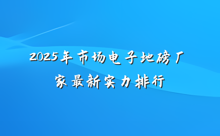 2025年市场电子地磅厂家最新实力排行