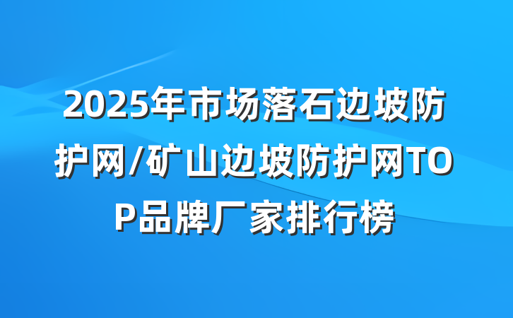 2025年市场落石边坡防护网/矿山边坡防护网TOP品牌厂家排行榜