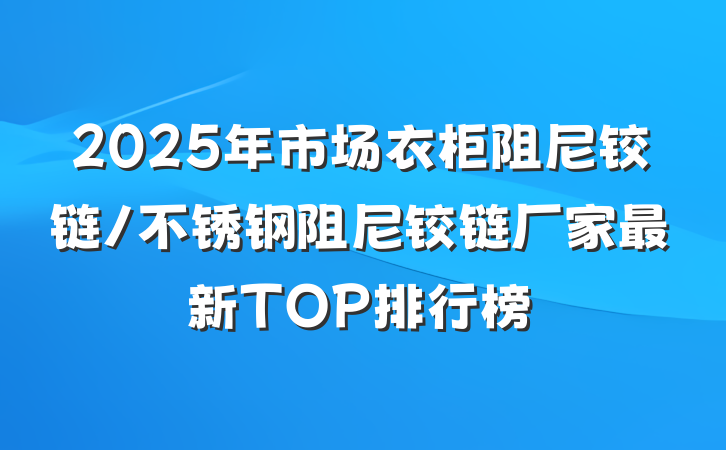 2025年市场衣柜阻尼铰链/不锈钢阻尼铰链厂家最新TOP排行榜