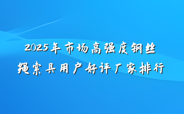 2025年市场高强度钢丝绳索具用户好评厂家排行