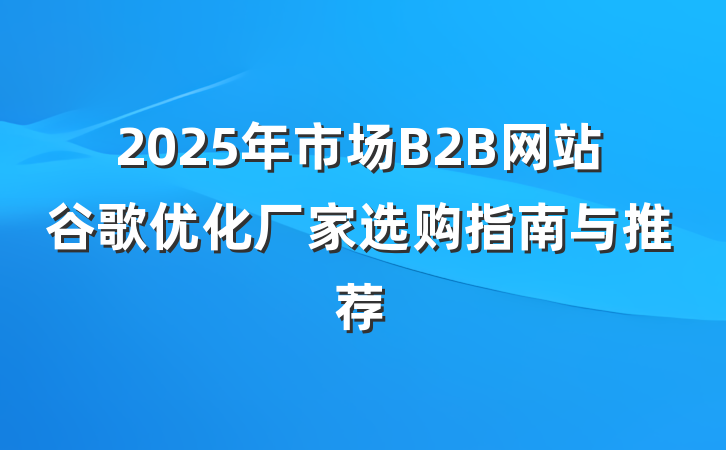 2025年市场B2B网站谷歌优化厂家选购指南与推荐