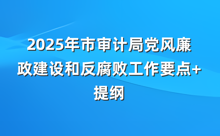 2025年市审计局党风廉政建设和反腐败工作要点 提纲