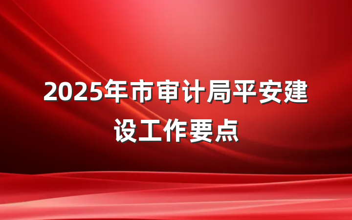 2025年市审计局平安建设工作要点