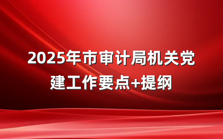 2025年市审计局机关党建工作要点 提纲