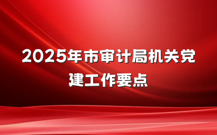 2025年市审计局机关党建工作要点