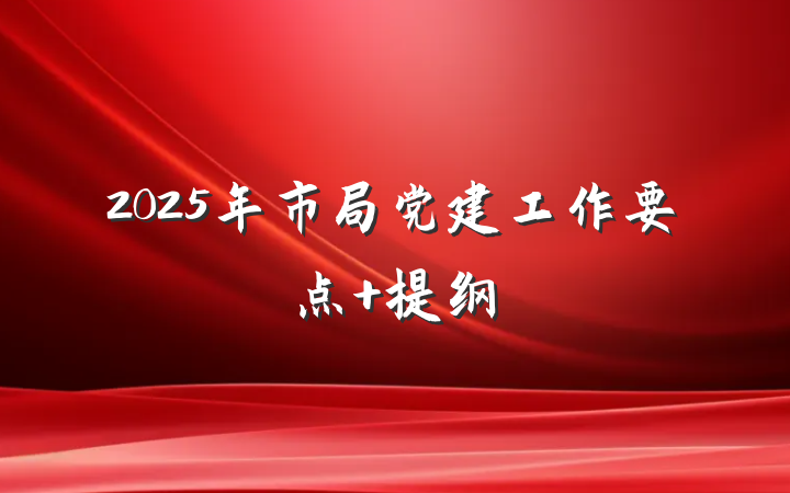 2025年市局党建工作要点 提纲