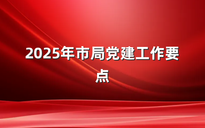 2025年市局党建工作要点