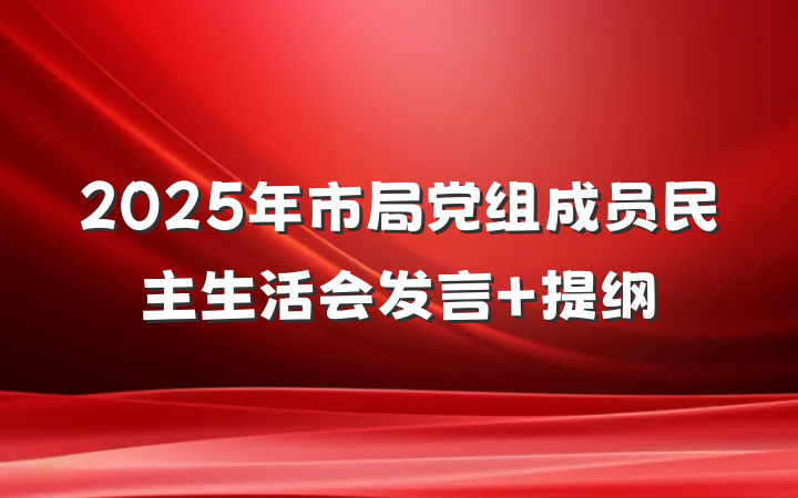 2025年市局党组成员民主生活会发言 提纲