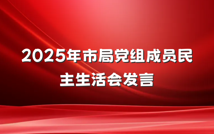 2025年市局党组成员民主生活会发言