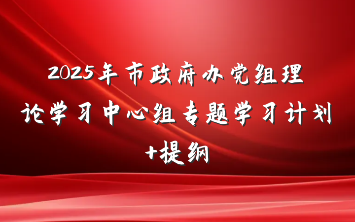2025年市政府办党组理论学习中心组专题学习计划 提纲