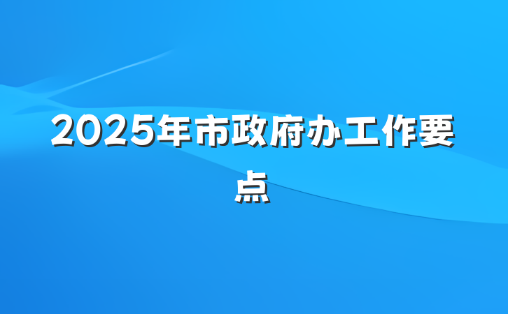 2025年市政府办工作要点