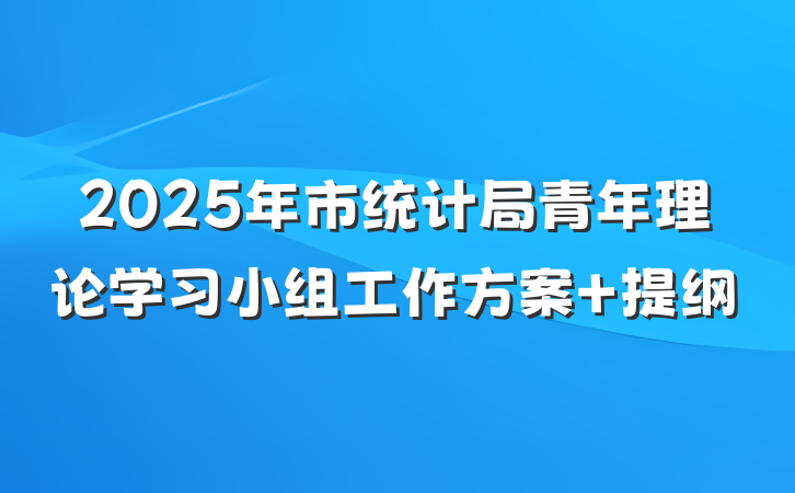 2025年市统计局青年理论学习小组工作方案 提纲