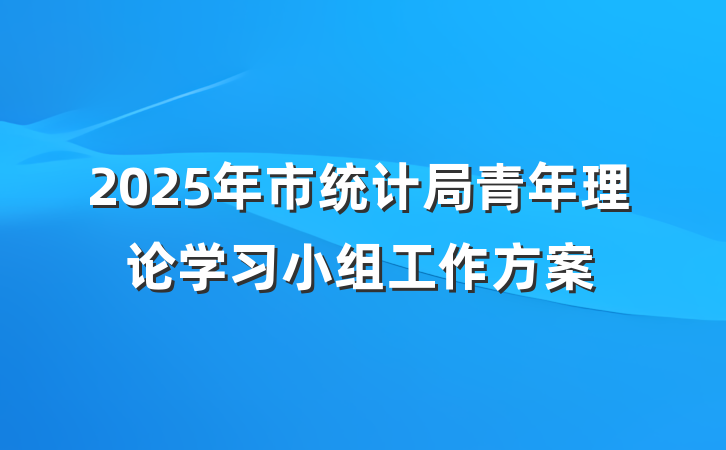 2025年市统计局青年理论学习小组工作方案