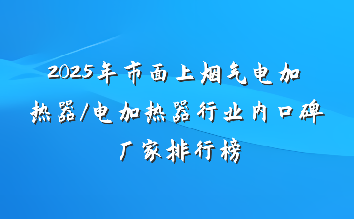 2025年市面上烟气电加热器/电加热器行业内口碑厂家排行榜