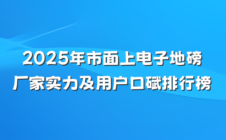 2025年市面上电子地磅厂家实力及用户口碑排行榜