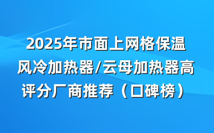 2025年市面上网格保温风冷加热器/云母加热器高评分厂商推荐（口碑榜）