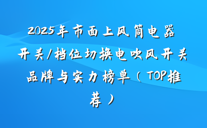 2025年市面上风筒电器开关/档位切换电吹风开关品牌与实力榜单（TOP推荐）