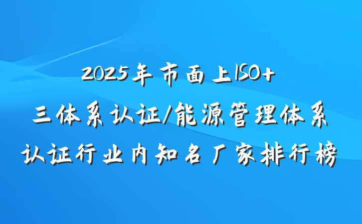 2025年市面上ISO 三体系认证/能源管理体系认证行业内知名厂家排行榜