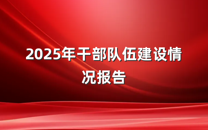 2025年干部队伍建设情况报告