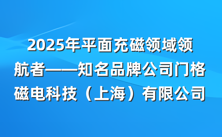 2025年平面充磁领域领航者——知名品牌公司门格磁电科技（上海）有限公司