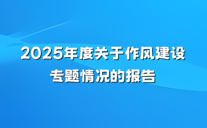 2025年度关于作风建设专题情况的报告