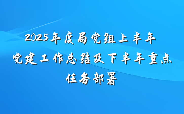 2025年度局党组上半年党建工作总结及下半年重点任务部署